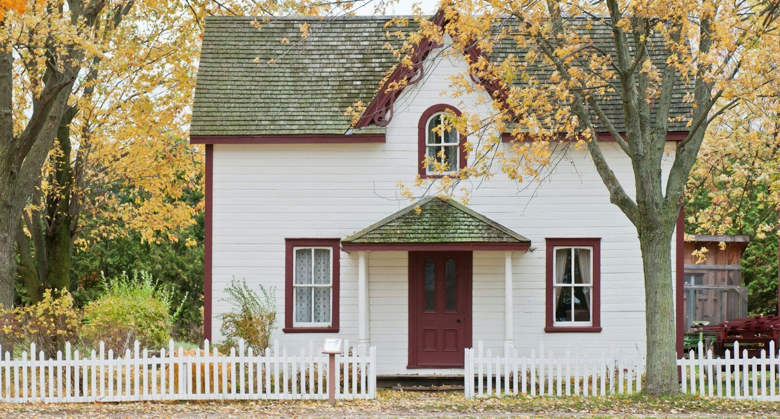 white house under maple trees