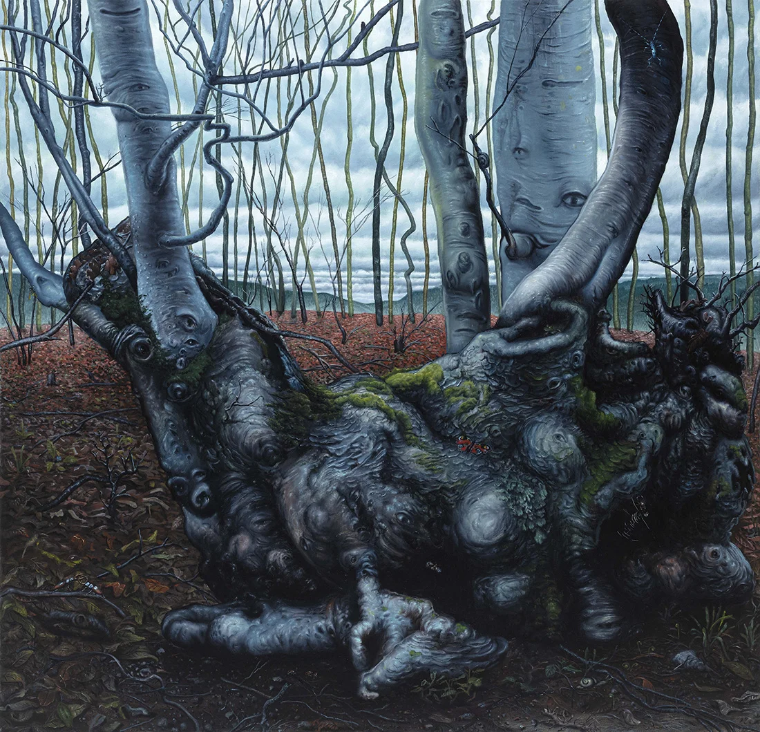 Nagypal: Stromy maju oci